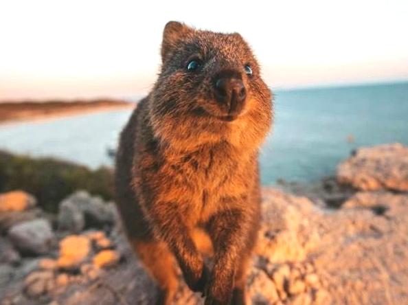 Navigating the High Country and King Valley: A Victoria Guide