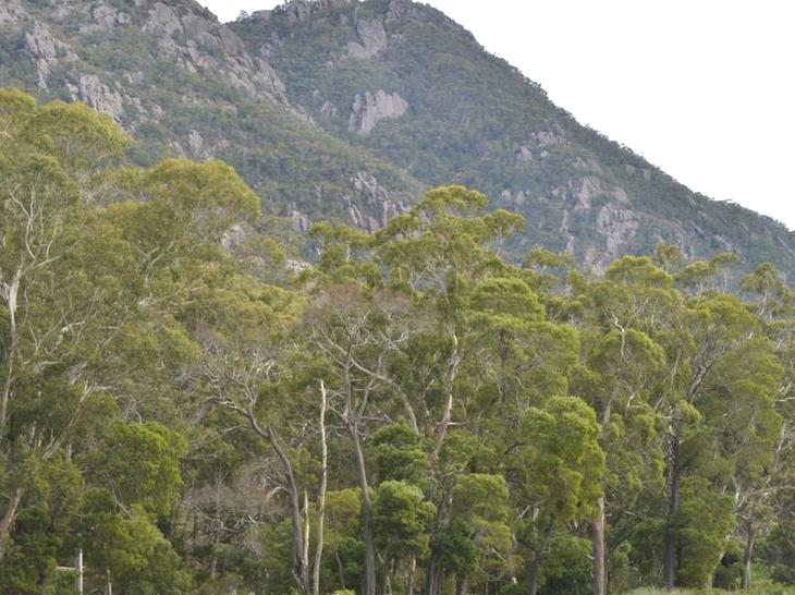 Your Ultimate Guide to the Yarra Valley and Dandenong Ranges
