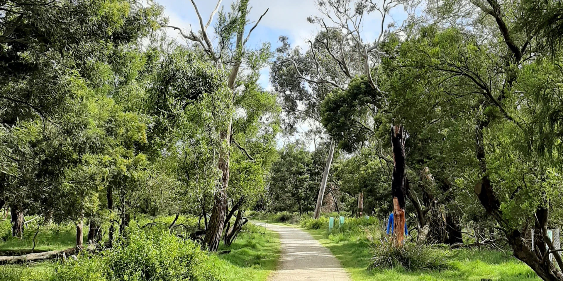 Oswin Roberts Reserve: Natural Bushland and Picnic Area