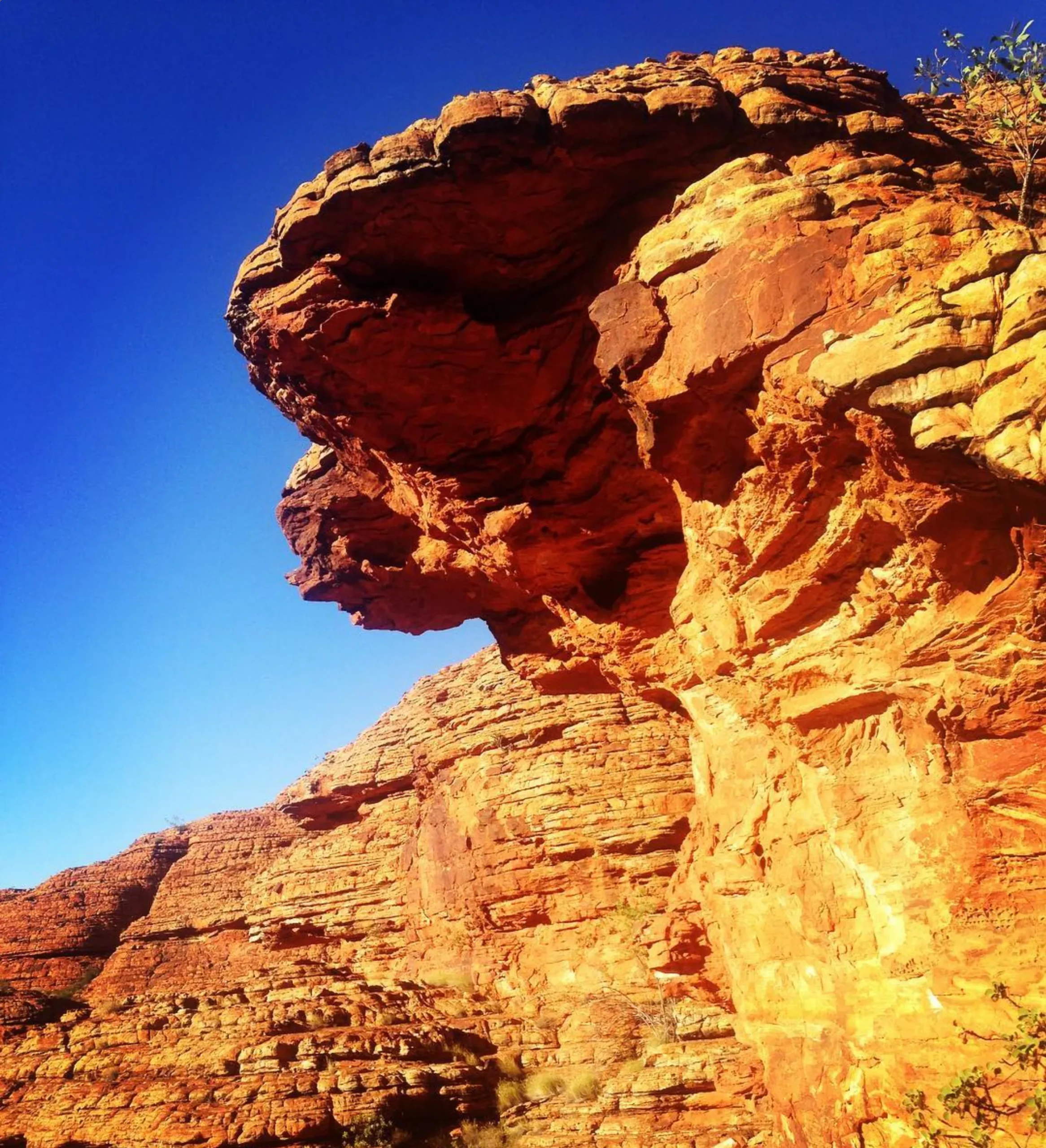 Uluru 3 day tour